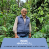 HARANGAL